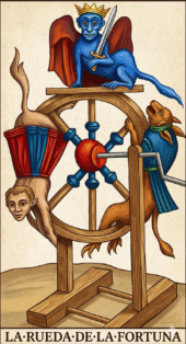 card-5